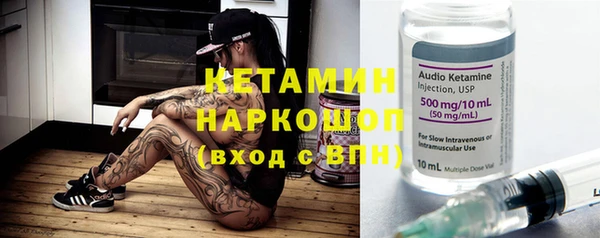 шишки Надым