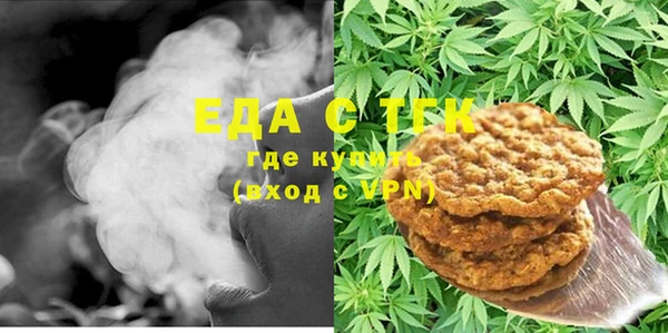 шишки Надым