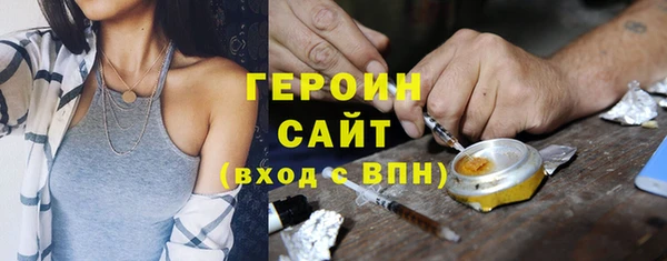 гидра Каменка