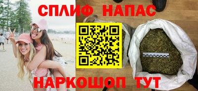ALPHA PVP Гатчина